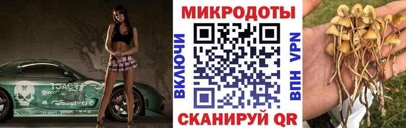купить  сайты  Трубчевск  blacksprut как войти  Галлюциногенные грибы прущие грибы 